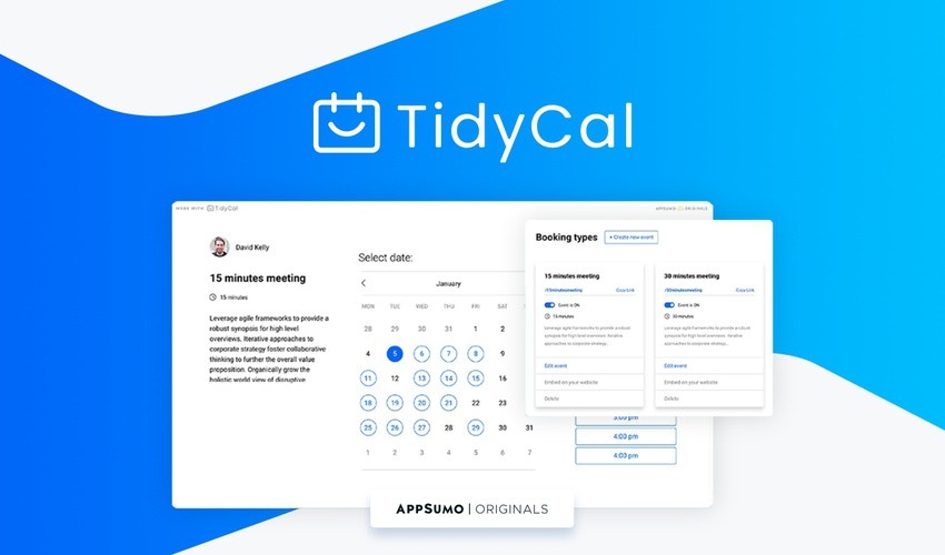 tidycal review 2024 alternative